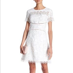 Elie Tahari short sleeve lace mini dress in white crew neck